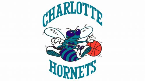 Charlotte Hornets Logo 1989