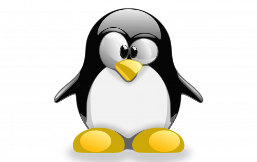 Linux Logo 2008