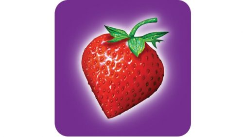 Strawberrynet Logo1