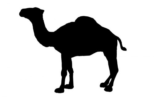 Camel emblem