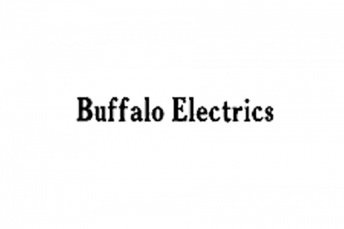 logo Buffalo Electric Vehicle Company