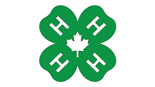 Logotipo 4H